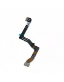 GIMBAL RIBBON